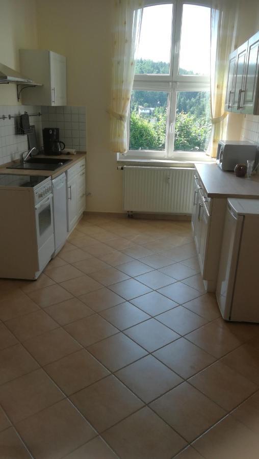 Ferienwohnung Sonnenblick Burkhardtsdorf Dış mekan fotoğraf